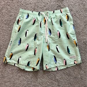 Modern Amusement seafoam Green Swim Shorts with Penguin Design